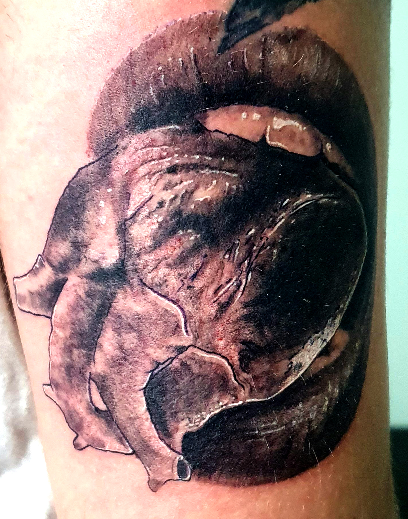 tattoo04